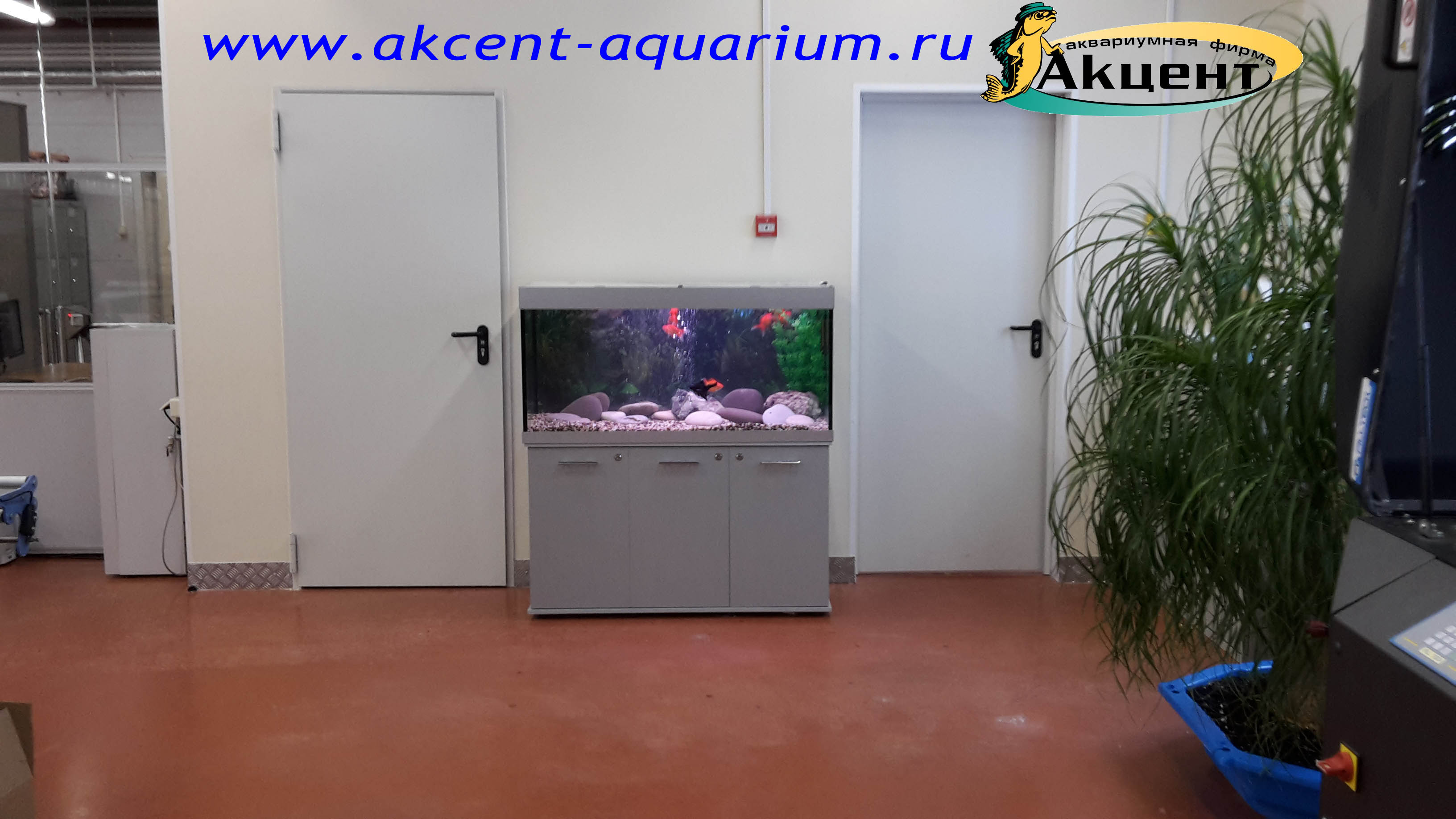 Акцент-аквариум, аквариум 250 литров прямоугольный, фабрика